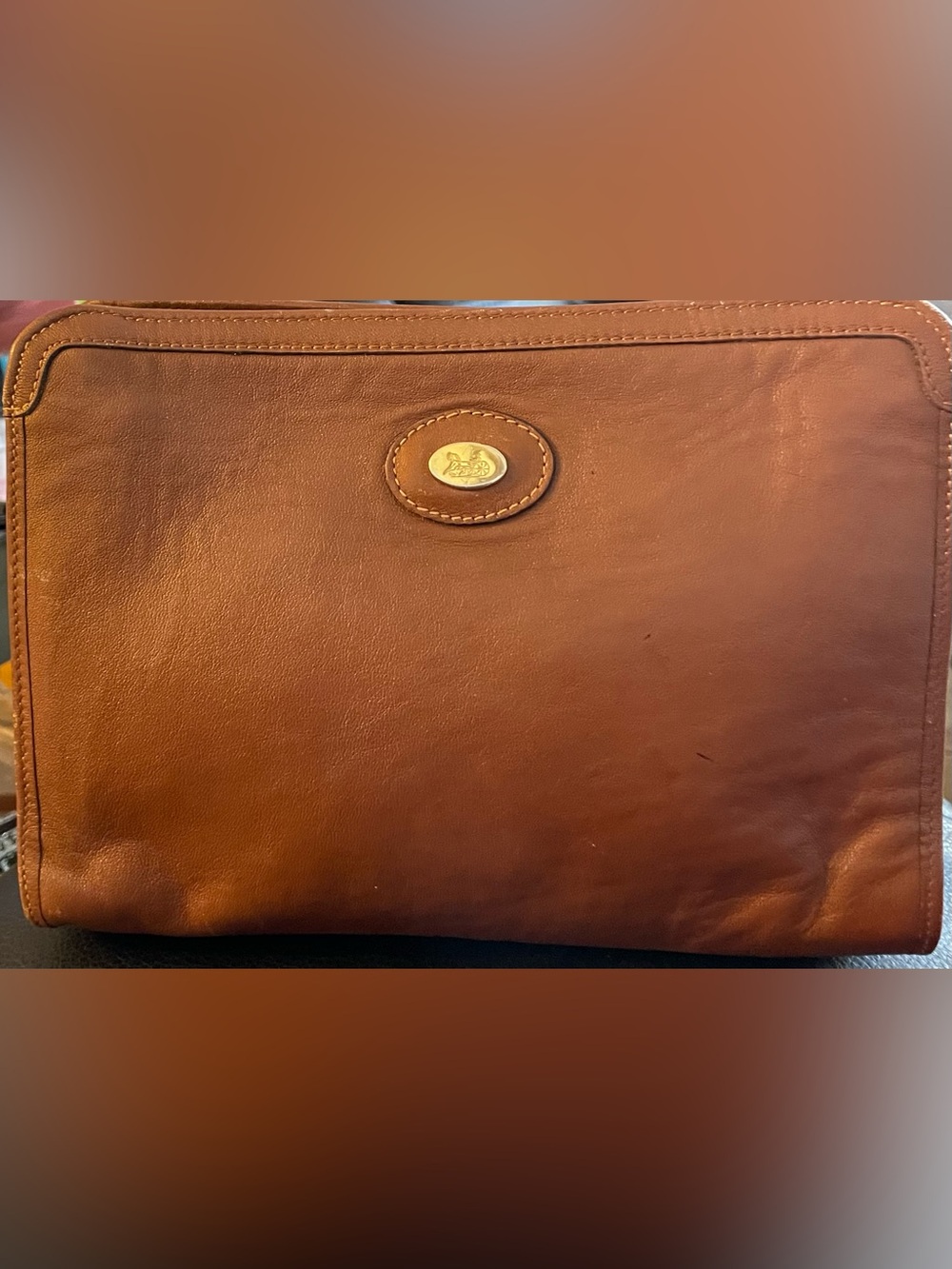 Celine Classic Brown Pouch Bag with Brass Emblem